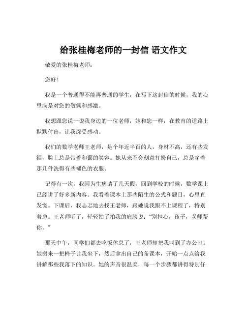 给张桂梅老师的一封信 语文作文