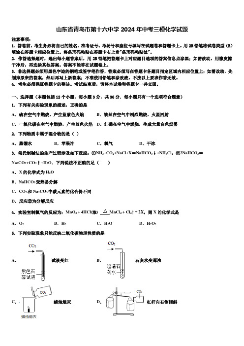 山东省青岛市第十六中学2024届中考三模化学试题含解析