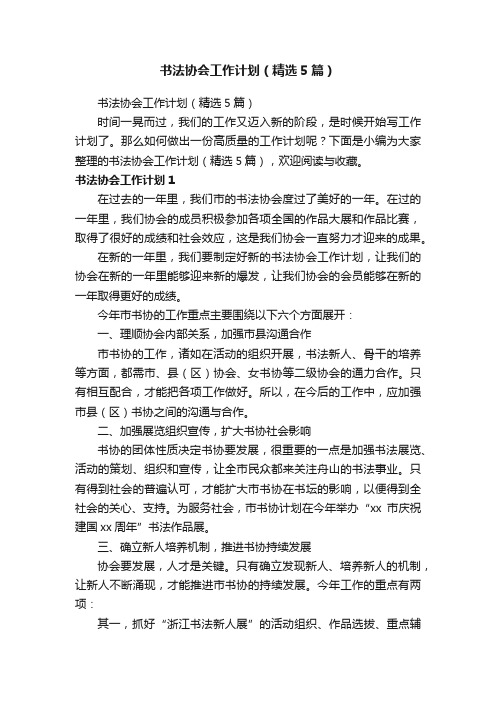 书法协会工作计划（精选5篇）