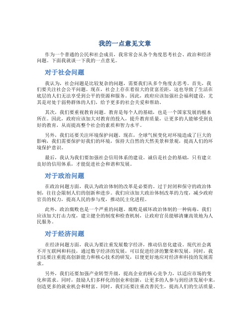 我的一点意见文章