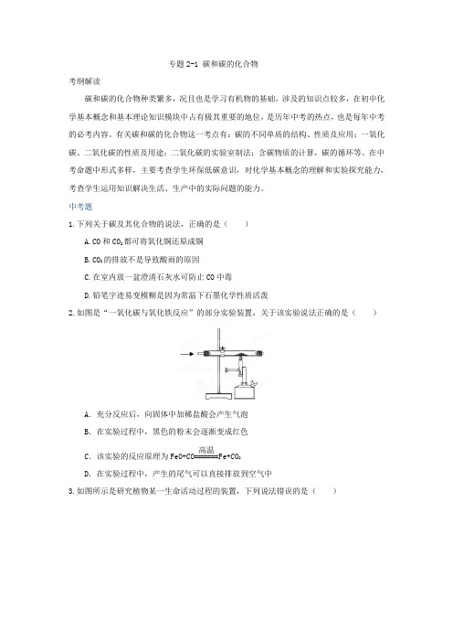 北京市九年级化学专题复习专题2-2 碳和碳的化合物