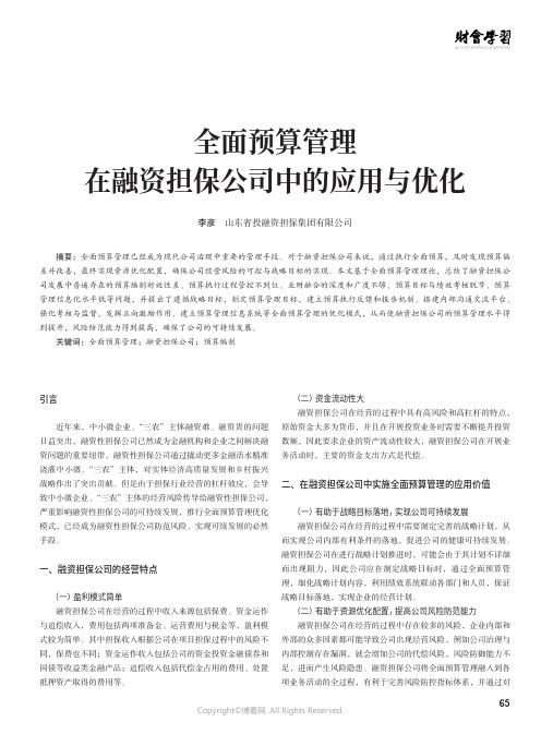 全面预算管理在融资担保公司中的应用与优化