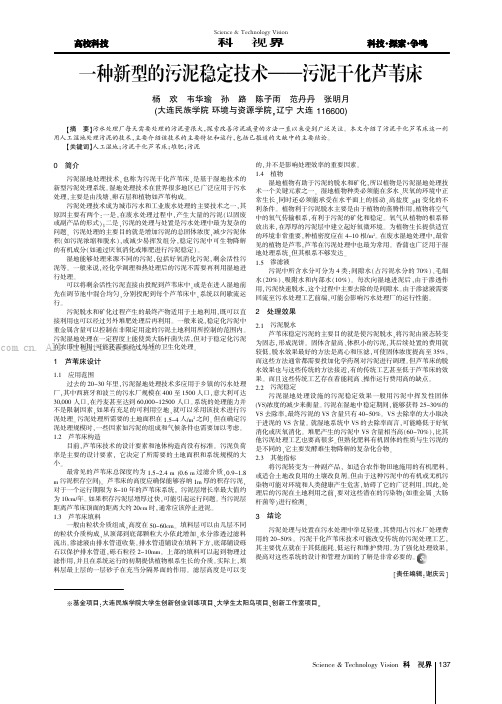 一种新型的污泥稳定技术——污泥干化芦苇床