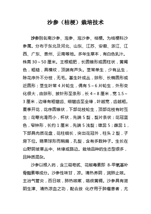 沙参栽培技术