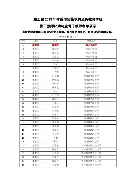 湖北省2013年孝感市骨干教师名单