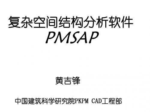 PMSAP总体介绍