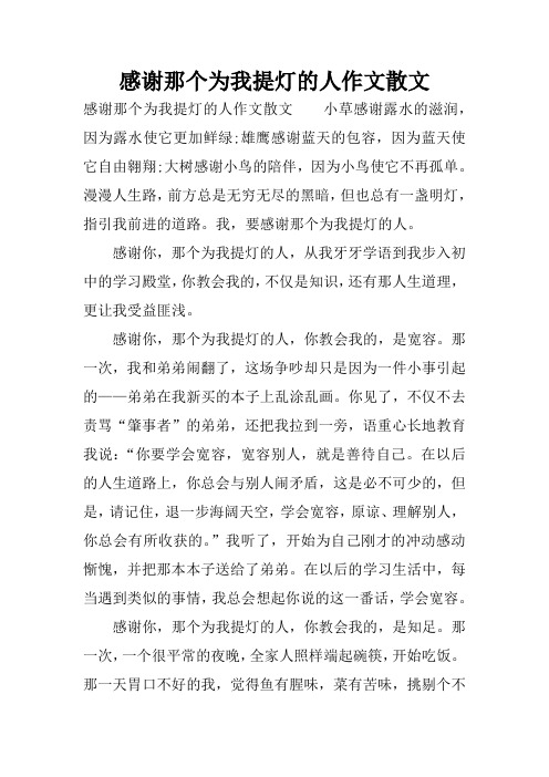 感谢那个为我提灯的人作文散文