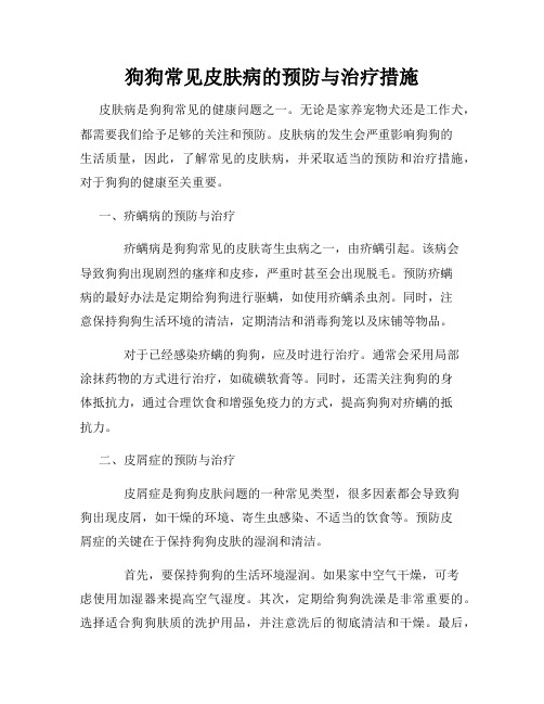 狗狗常见皮肤病的预防与治疗措施