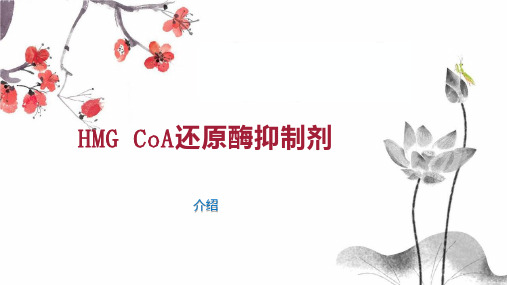 HMG CoA还原酶抑制剂