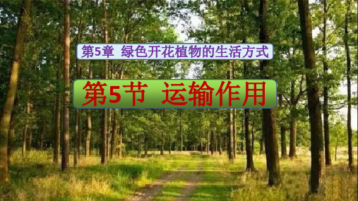 运输作用   课件  北师大版七年级生物上册