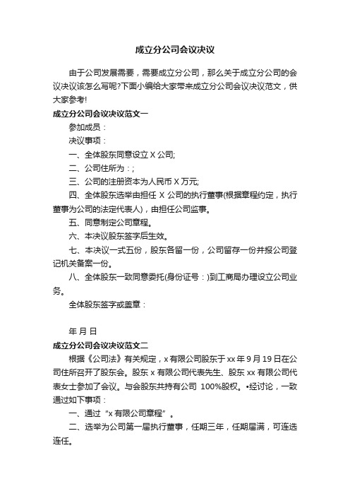 成立分公司会议决议