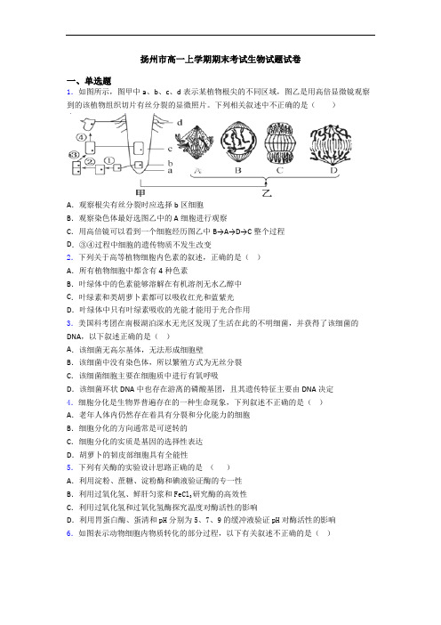 扬州市高一上学期期末考试生物试题试卷