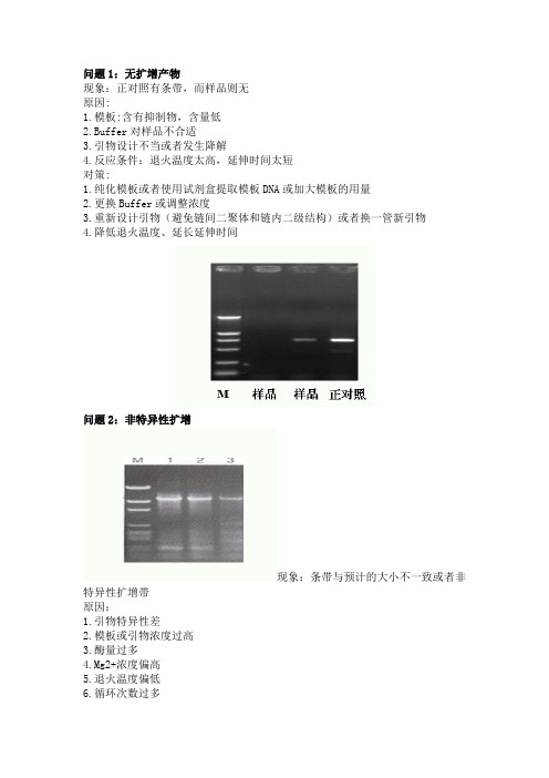 PCR常见问题及解决办法