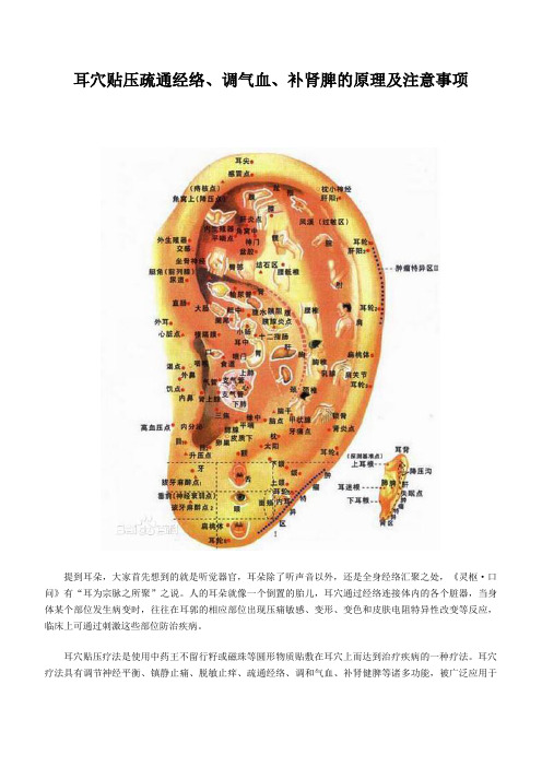 耳穴贴压疏通经络、调气血、补肾脾的原理及注意事项