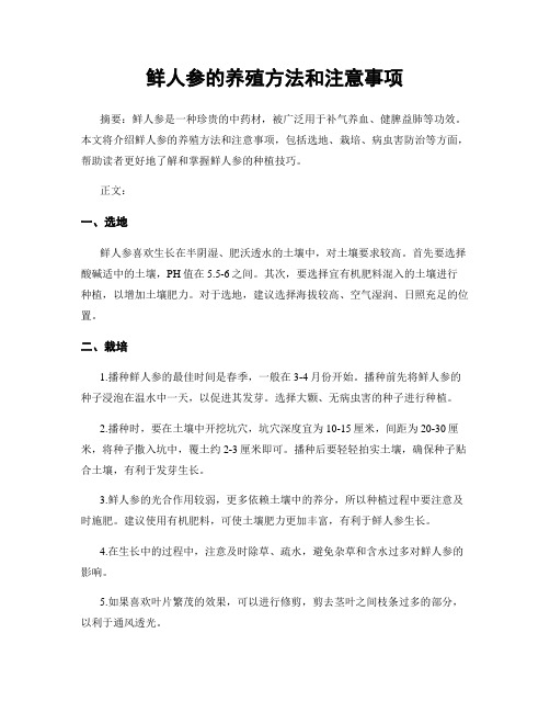 鲜人参的养殖方法和注意事项