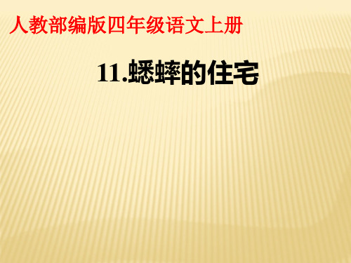 人教部编版四年级上册语文课件- 《11.蟋蟀的住宅》