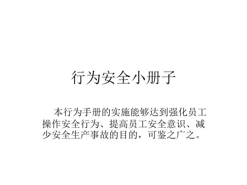 安全小册子