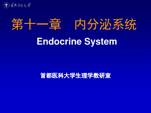 生理学——内分泌和生殖