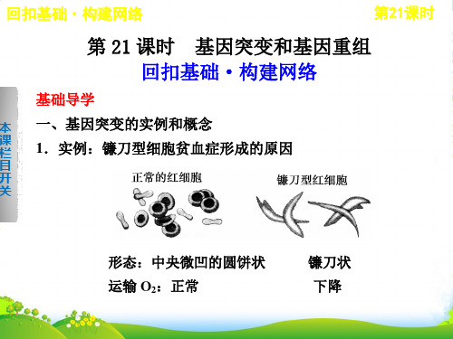 【步步高】高考生物一轮复习 第七单元 第21课时课件