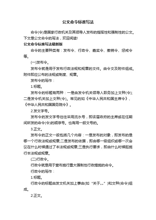 公文命令标准写法