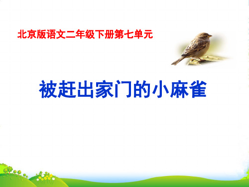 二年级语文下册 被赶出家门的小麻雀课件 北京