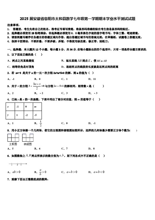 2025届安徽省阜阳市太和县数学七年级第一学期期末学业水平测试试题含解析