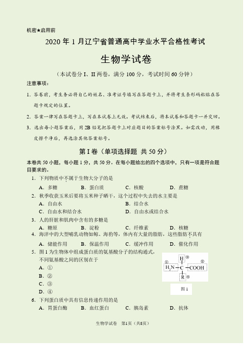 2020年1月辽宁省普通高中学业水平合格性考试生物试卷