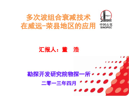 多次波组合衰减技术