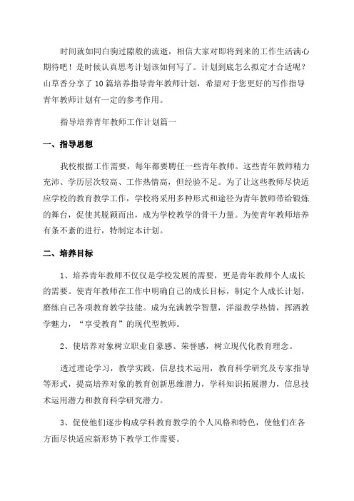 培养指导青年教师计划(优秀10篇)