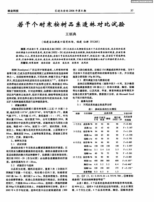 若干个耐寒桉树品系造林对比试验