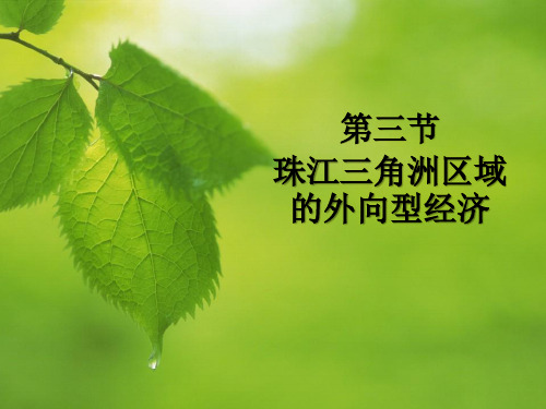 《第三节 珠江三角洲区域的外向型经济》课件3