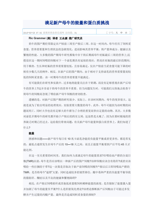 满足新产母牛的能量和蛋白质挑战