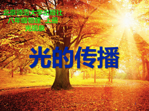 北师大版初中物理八上《光的传播》【市一等奖】优质课
