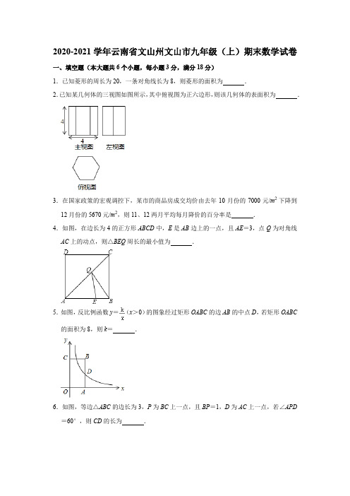 2020-2021学年云南省文山州文山市九年级上期期末数学试卷 