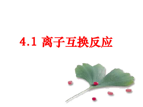 4.1离子互换反应-lu