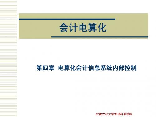 电算化会计信息系统内部控制
