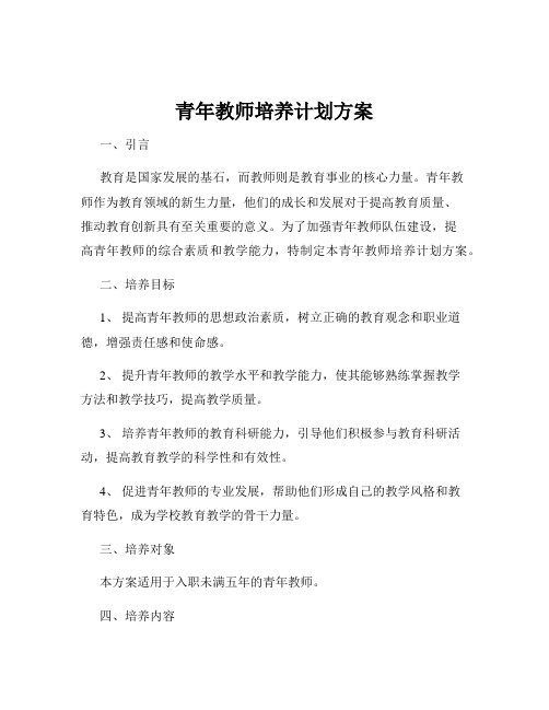 青年教师培养计划方案