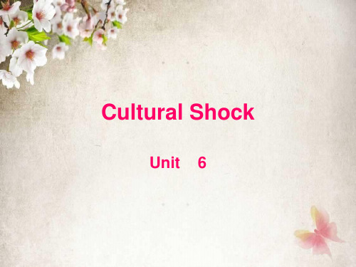 Unit 6-Cultural Shock 文化冲击