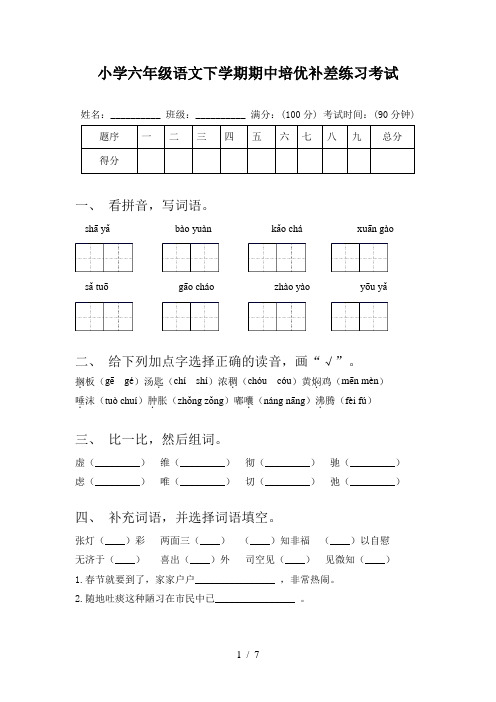 小学六年级语文下学期期中培优补差练习考试