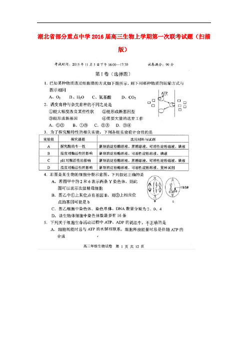 湖北省部分重点中学高三生物上学期第一次联考试题(扫描版)