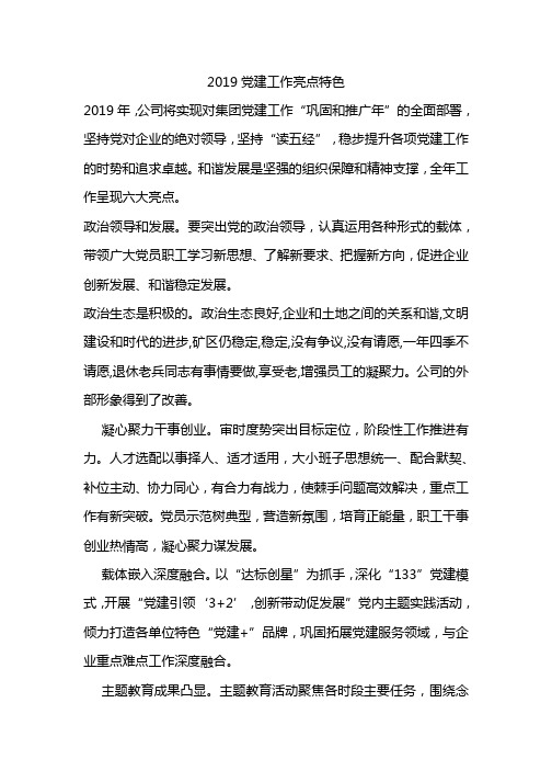 2019党建工作亮点特色