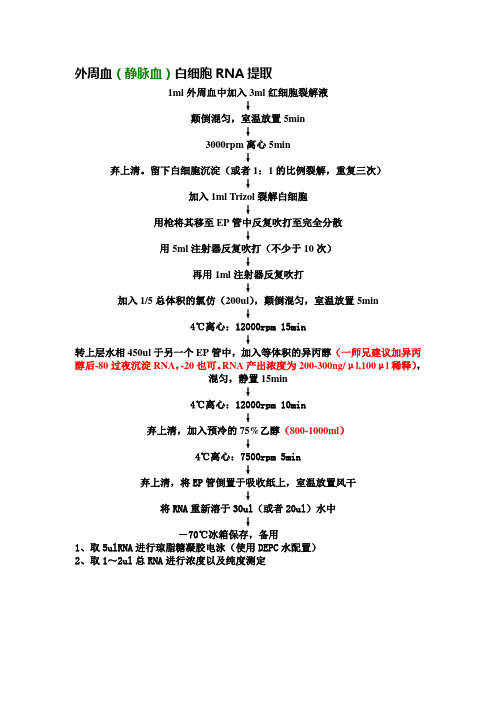 外周血白细胞RNA提取并RT-PCR实验技术