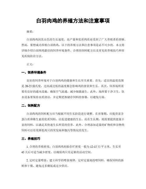 白羽肉鸡的养殖方法和注意事项