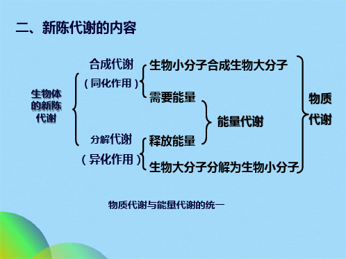 生物化学 食品  第六章 糖代谢(共112张PPT)