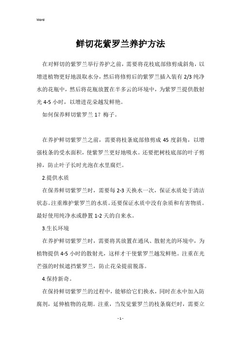 鲜切花紫罗兰养护方法