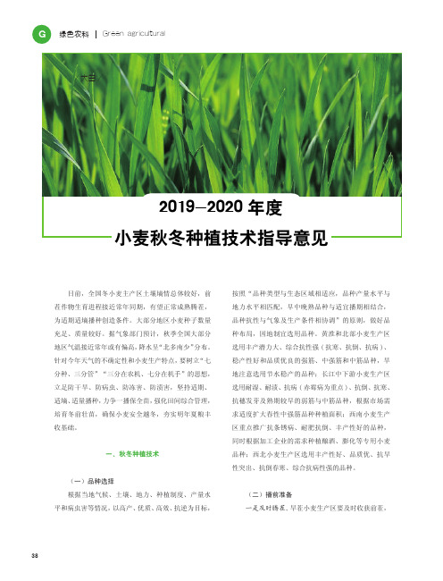 2019-2020年度小麦秋冬种植技术指导意见