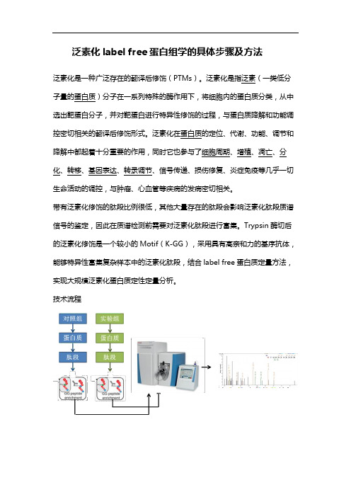 泛素化label free蛋白组学的具体步骤及方法