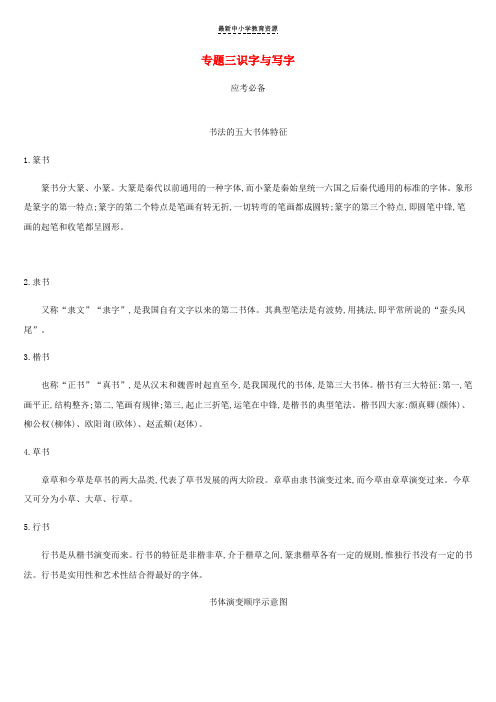 精选2019年中考语文总复习二积累与运用专题03识字与写字