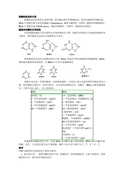 核酸的组成和分类