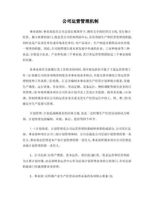 公司运营管理机制